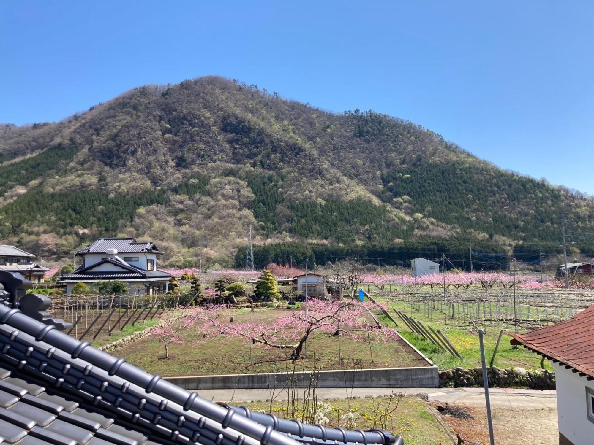 B&B Ladies Only Grape Mama Peach Room - Vacation Stay 11708 Koshu Exterior foto